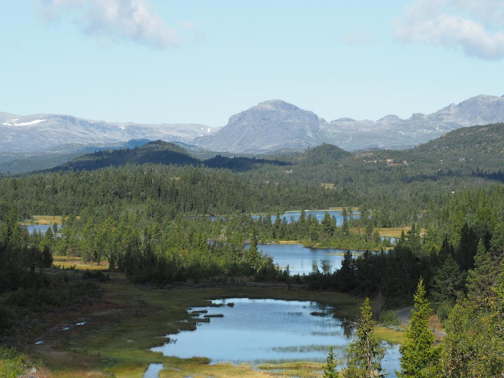 Liatoppen Fjellhotell Al Exterior foto