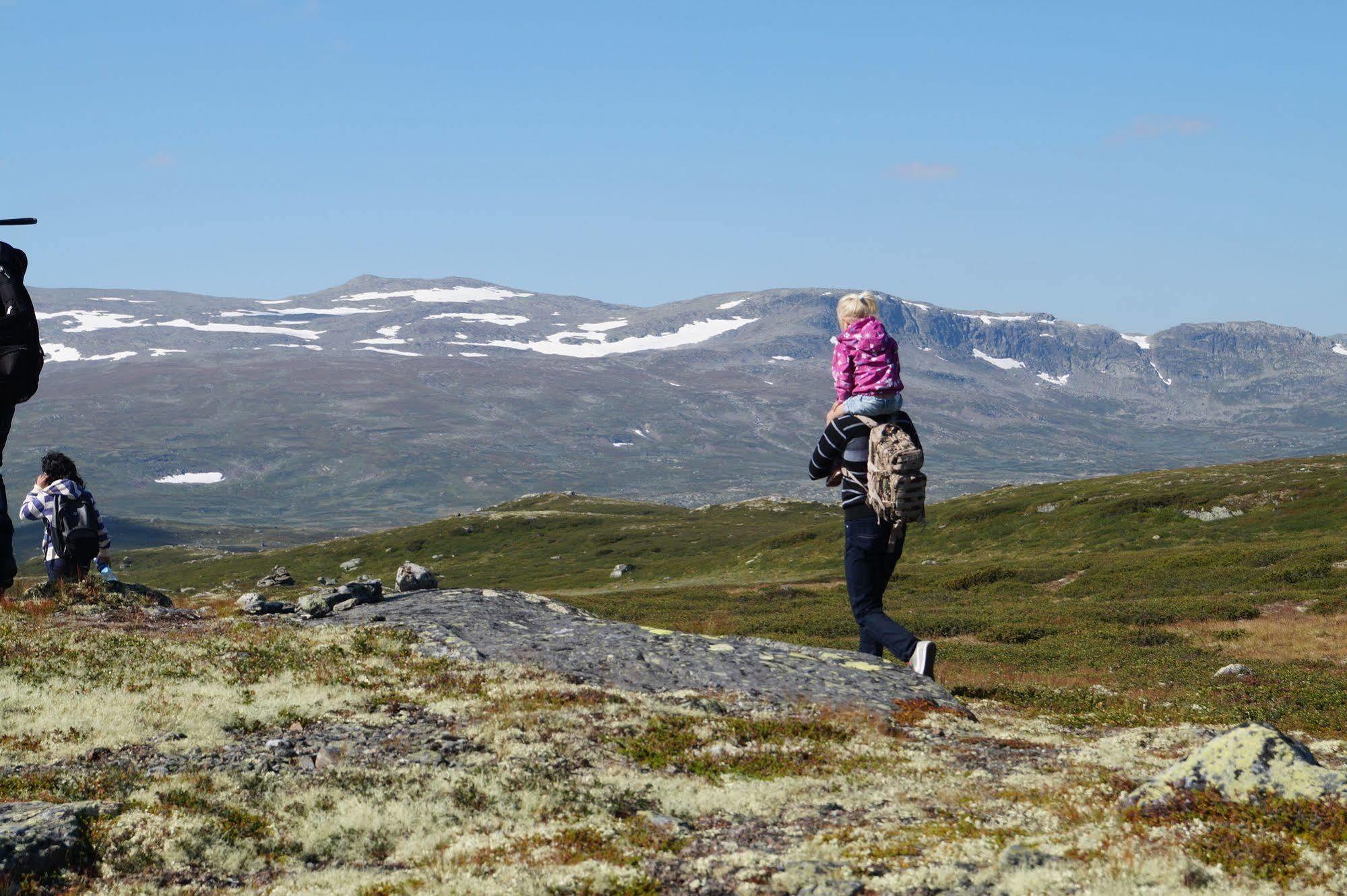 Liatoppen Fjellhotell Al Exterior foto