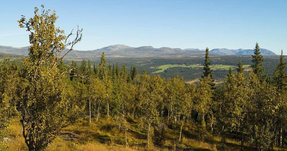 Liatoppen Fjellhotell Al Exterior foto
